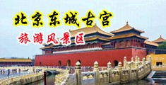 国产操逼视频骚逼被操中国北京-东城古宫旅游风景区